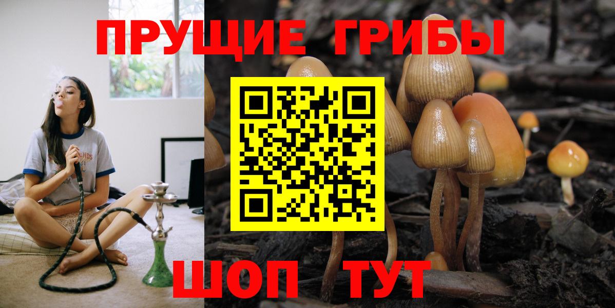 Белореченск  Псилоцибиновые грибы мухоморы  Вход с VPN 